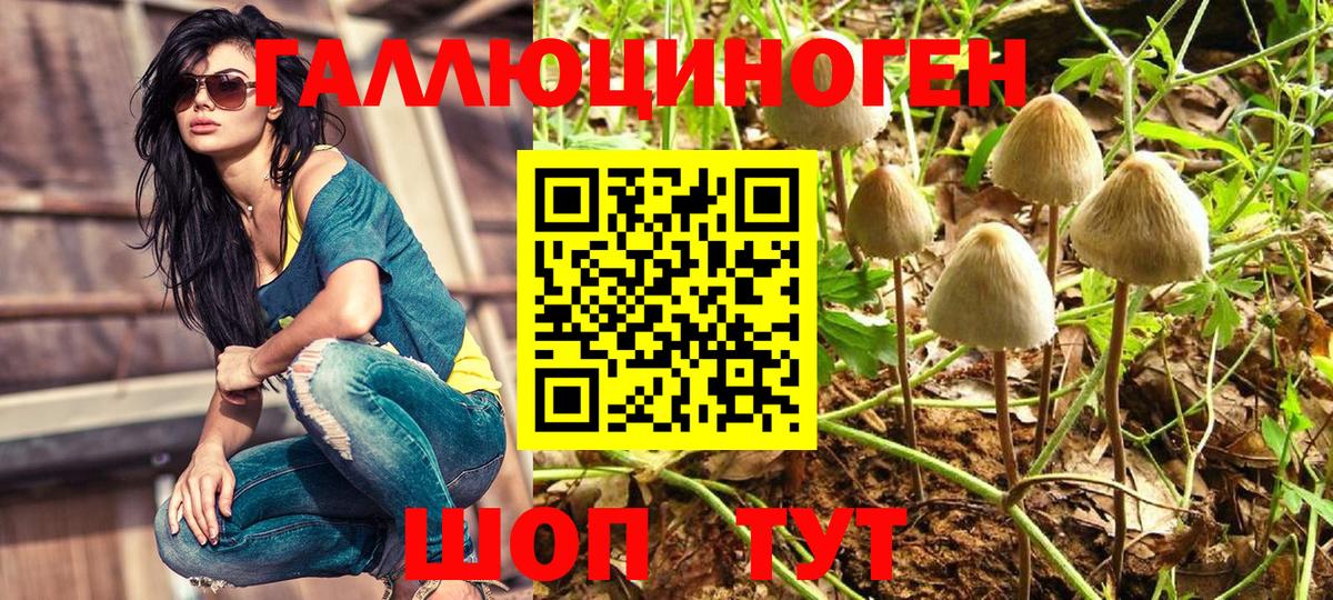 Псилоцибиновые грибы Psilocybe  Вход с VPN  Кумертау  Галлюциногенные грибы GOLDEN TEACHER 